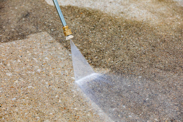 Best Gutter Cleaning  in Panora, IA