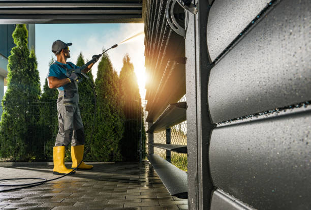 Best Animal Enclosure Cleaning  in Panora, IA